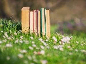 Kипарске приче и андрићевски роман 