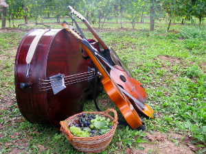  Тамбурица златна жица 