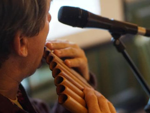 Свирај свирче - панова фрула 