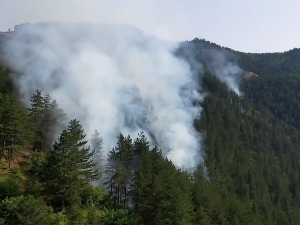 Пожар код Прибоја – гори шума, нема угрожених кућа