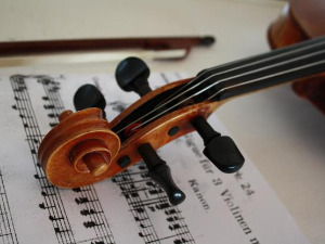 	Свирај свирче - виолина 