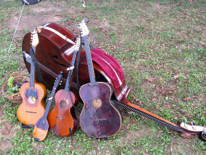 	Тамбурица златна жица 