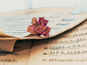 Променада – Београдски сабор 1976.