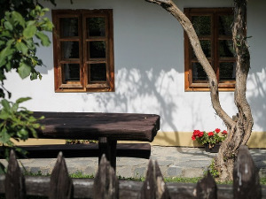  1001 Траг – Девојка соколу зулум учинила – Драгомир Мајкић 