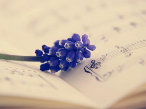 Жене у музици – Џин Култард