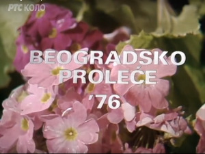 Тихо ноћи - Београдско пролеће 1976. 