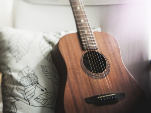 	Свирај свирче - гитара