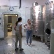 Вински подруми од камена пешчара у селу Рајац