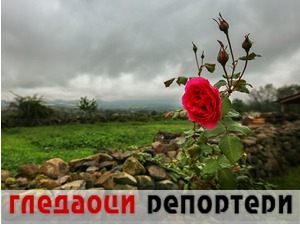 Гледаоци репортери (24. септембар 2022)