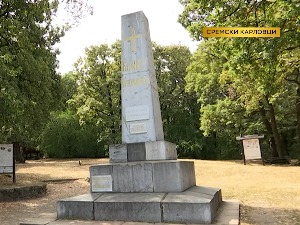 Бранко Радичевић песник Сремских Карловаца