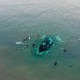 Више од хиљаду година стара олупина брода довела у питање историјске уџбенике