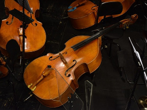 	Свирај свирче - контрабас  