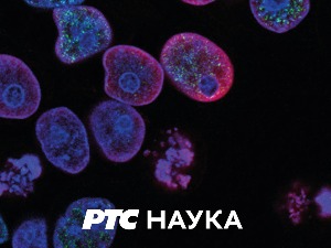 Оскудица:  Неограничене жеље