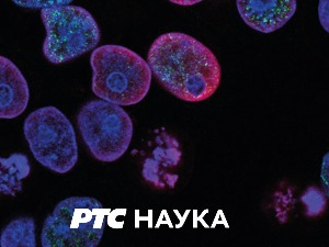 Ледена пространства:  Сумрак андских ледника