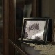 Улица липа, 3. сезона, 23. епизода