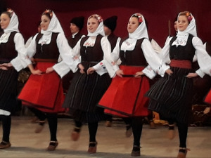 Коловођо ногом крени 