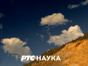 Одгонетање тела: 	 Биологија