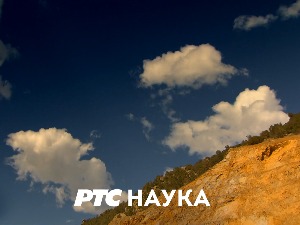 Еко перспективе:	 Прстеновање белоглавог супа