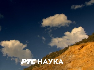 Професионалци:	 Јованка Прелић – коњички спорт