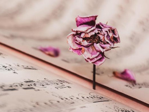 Променада - Вогошћа 1986.