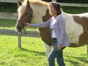 Парижанка у Зови Долу