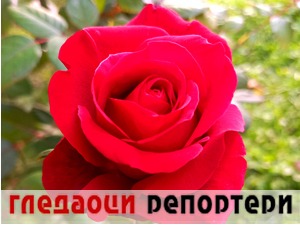 Гледаоци репортери (12. октобар 2022)