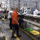 Зашто су примања у Јабланичком и Пчињском округу, и поред бројних страних инвестиција, мања него у осталим крајевима Србије?  