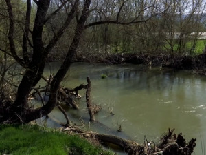  1001 Траг - Ој, Мораво - Радиша Урошевић 