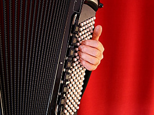  Свирај свирче - хармоника дугметара 