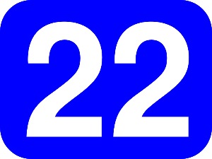 22