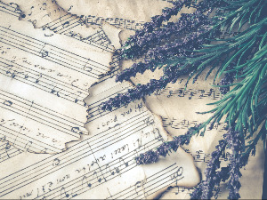 Свирај свирче - дипле 