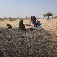 Пут без путовања: Егзотика Намибије