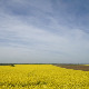 Фолдер Србија: Народне лирске песме