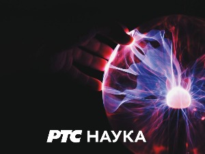 Одгонетање тела:   	 Без речи