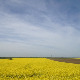 Фолдер Србија: Коса 