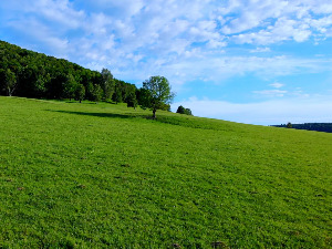 Зелена енергија Србије: Обновљиви извори енергије