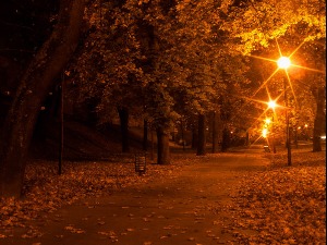 Ноћне променаде