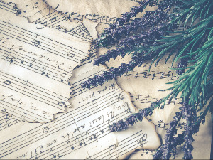  Свирај свирче - тарагот 