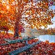 Ритам раног јутра