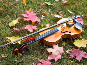 	Свирај свирче - виолина