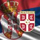 Дневник; Конференција за новинаре фудбалске репрезентације Србије