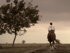  1001 Траг - Само једном срце луди - Предраг Гојковић Цуне 