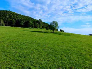 Зелена енергија Србије: Мале соларне електране