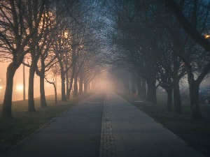 Ноћне променаде