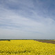  Фолдер Србија: Хајдуци 