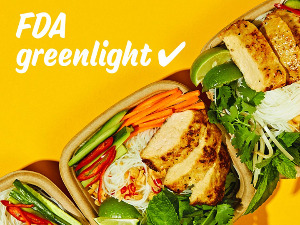 Пилетина произведена у лабораторији добила зелено светло у Сједињеним Државама