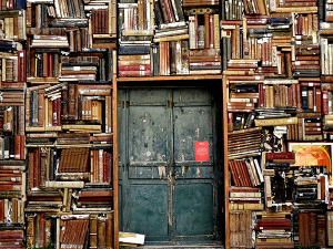 Полице су вам пуне непрочитаних књига, значи да знате колико не знате