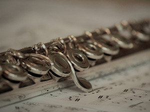 Свирај свирче - флаута