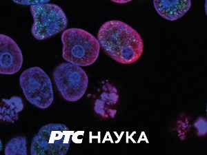 РТС ЛАБ ИДЕЈЕ:	 Зелени отпад