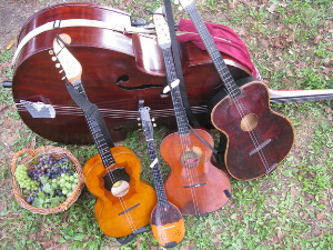  Тамбурица златна жица 